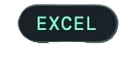 Button with the word Excel in teal letters on a dark background.