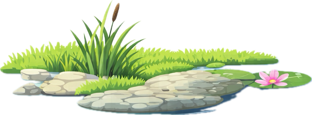 Illustration of a pond edge with green grass, cattails, stone slabs, lily pads, and a pink water lily flower.